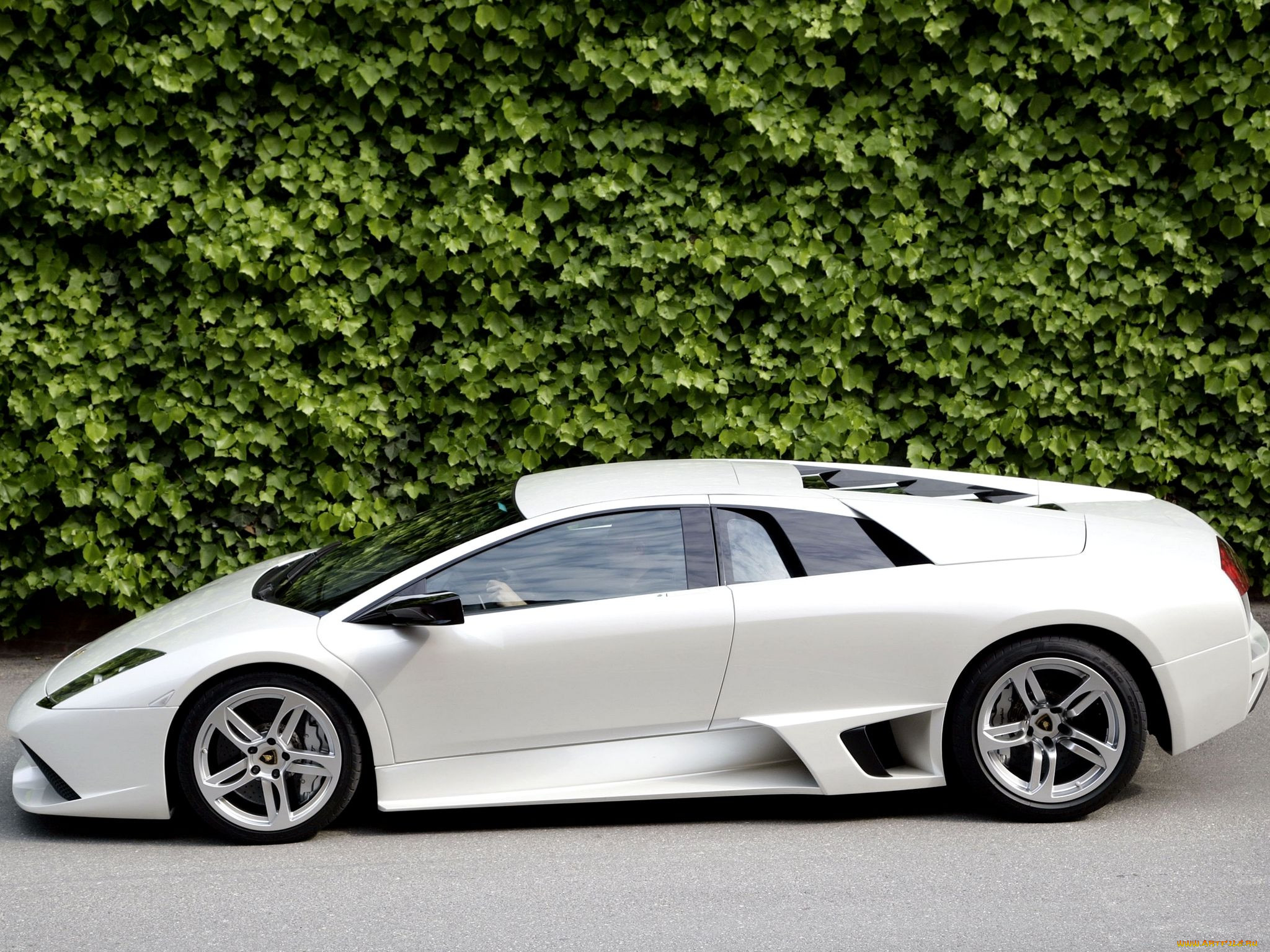 , lamborghini